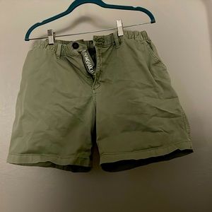 Chubbies “The Problem Solver” 7 inch (stretch)